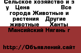 Сельское хозяйство и з/у › Цена ­ 2 500 000 - Все города Животные и растения » Другие животные   . Ханты-Мансийский,Нягань г.
